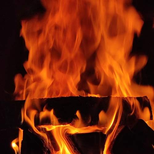 Photo #8019096