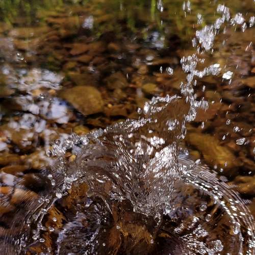 Photo #8019113