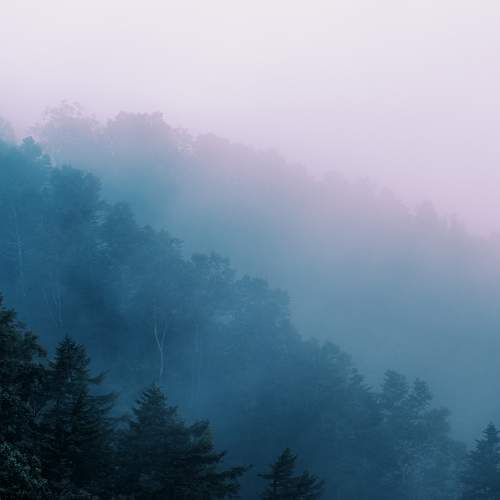 Photo #8019726