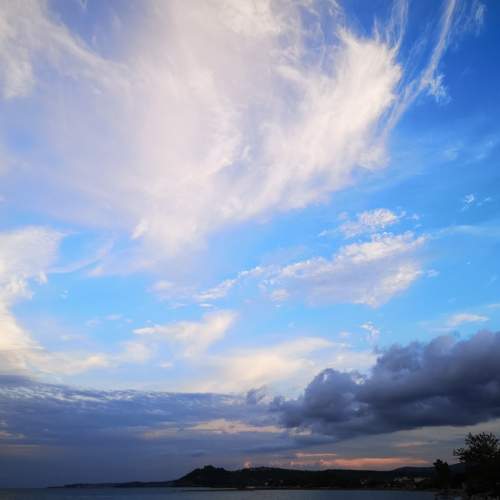 Photo #8019842