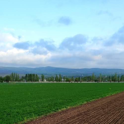Photo #8020067