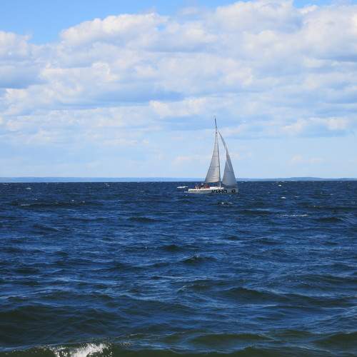 Photo #8020100