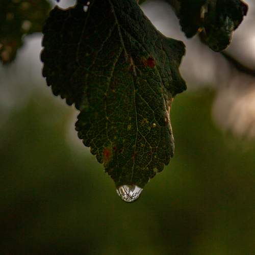 Photo #8020326