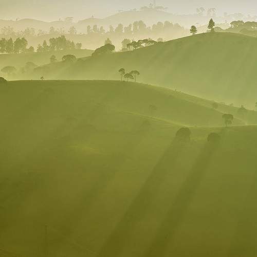 Photo #8020716