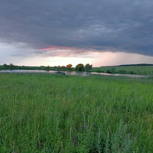 Photo #8021095