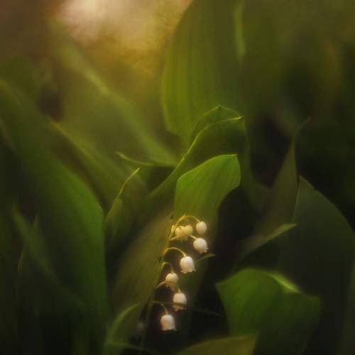 Photo #8021644