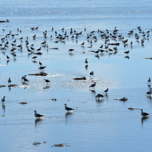 Photo #8021691