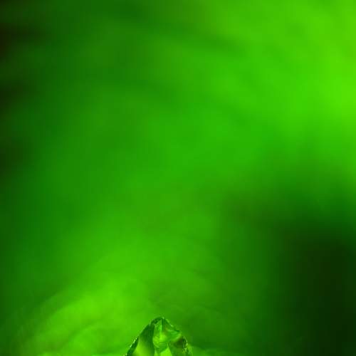 Photo #8021953