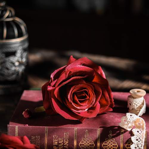 Photo #8022157