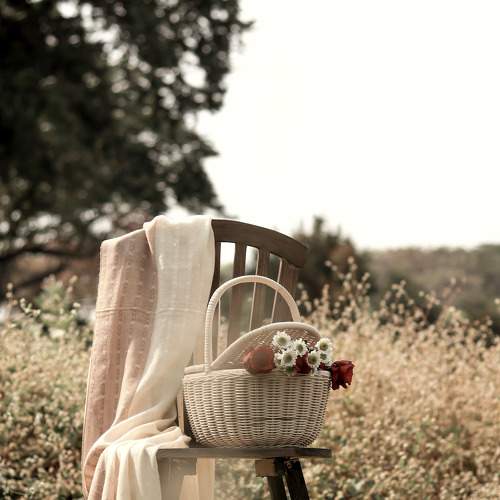 Photo #8022164