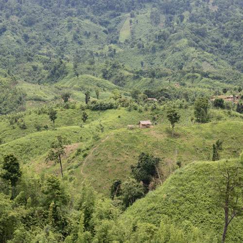 Photo #8022421