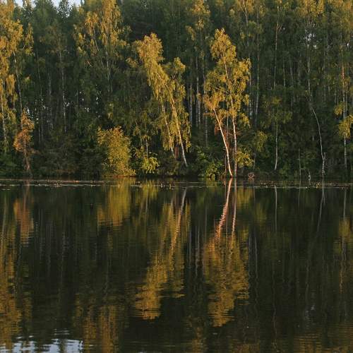 Photo #8024228