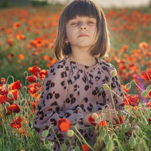 Photo #8024753