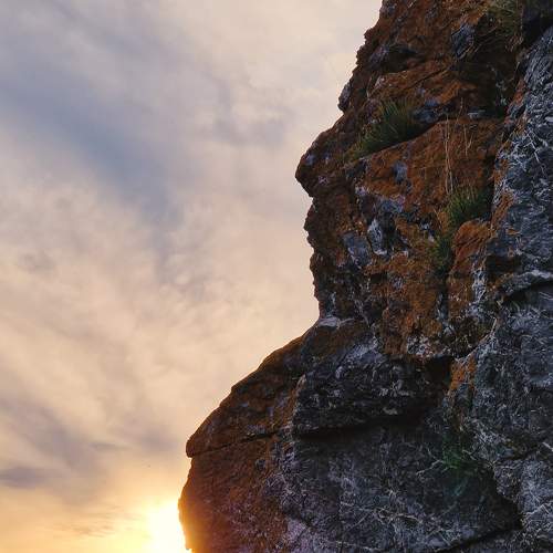 Photo #8026851