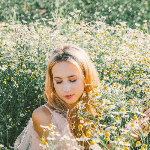 Photo #8027241
