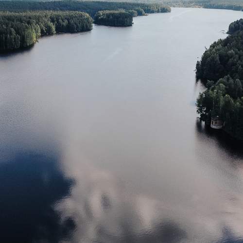Photo #8029050