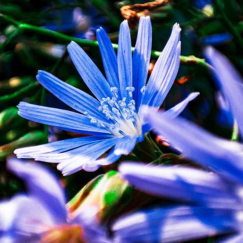 Photo #8030142