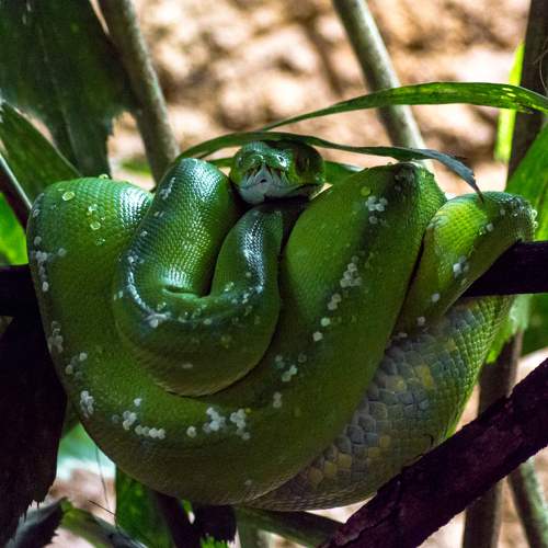 Photo #8030390