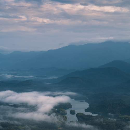 Photo #8030525