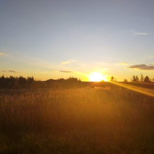 Photo #8030577