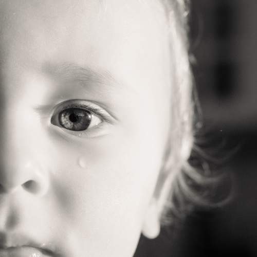 Photo #8030618