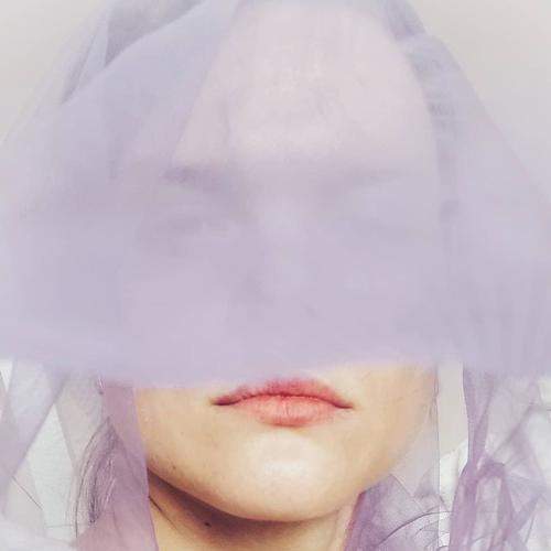 Photo #8031021