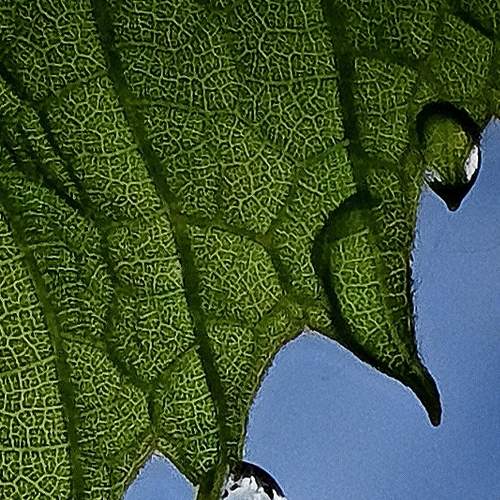Photo #8031276