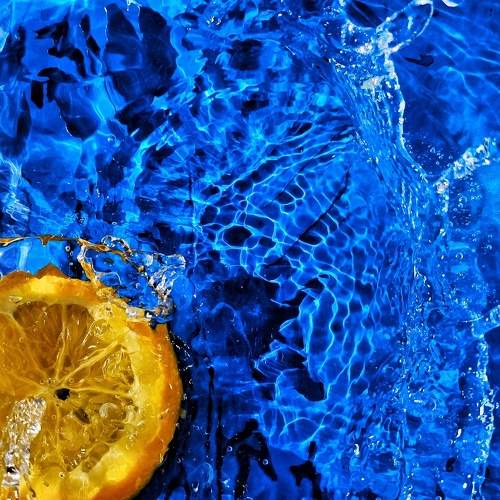 Photo #8032049