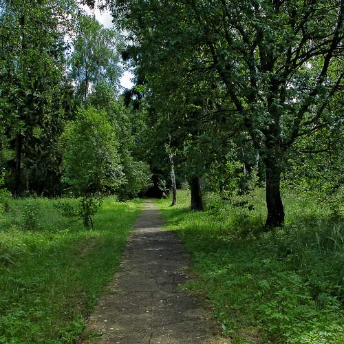 тропа