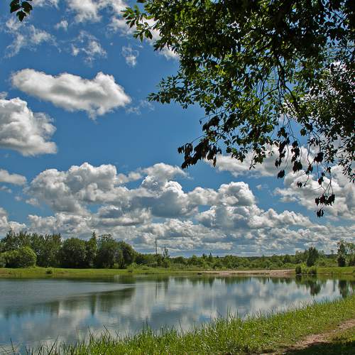 Photo #8032468