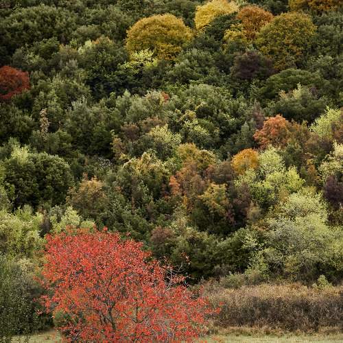 Photo #8032694