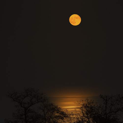 Photo #8032695