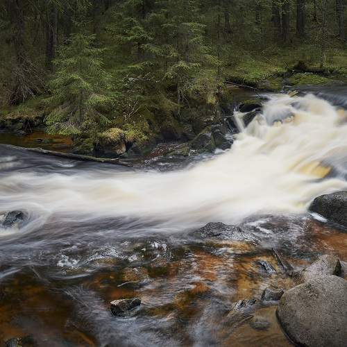 Photo #8032698