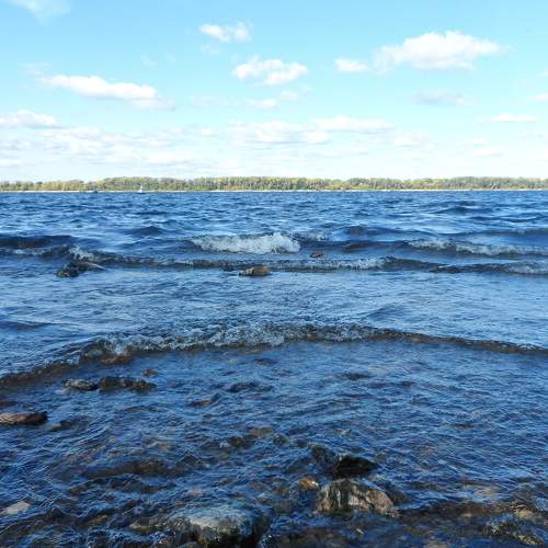Photo #8032857