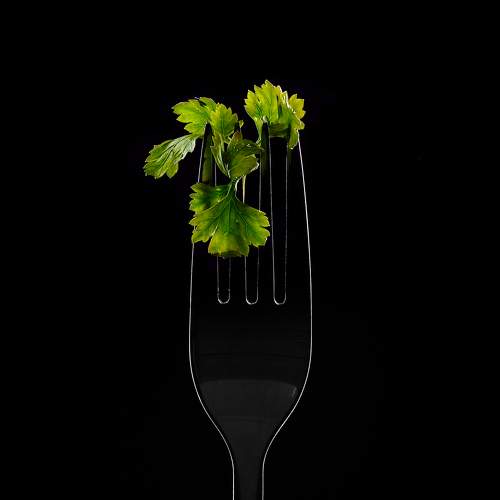 Фотография #8033035