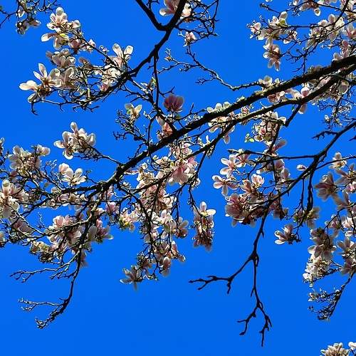 Photo #8033123
