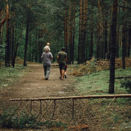Photo #8033254