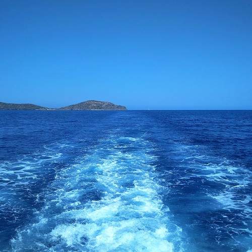 Photo #8033535