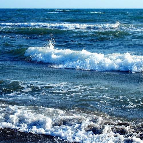 Photo #8033575