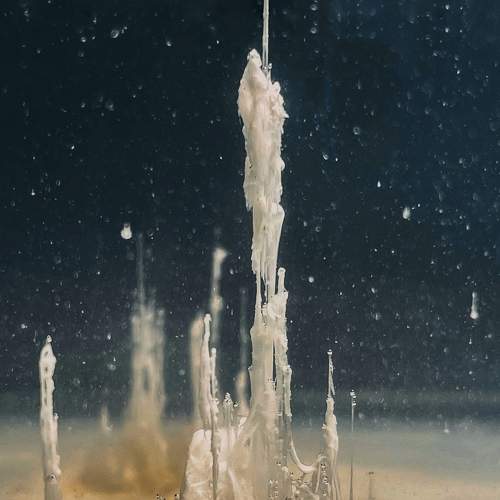 Photo #8034191