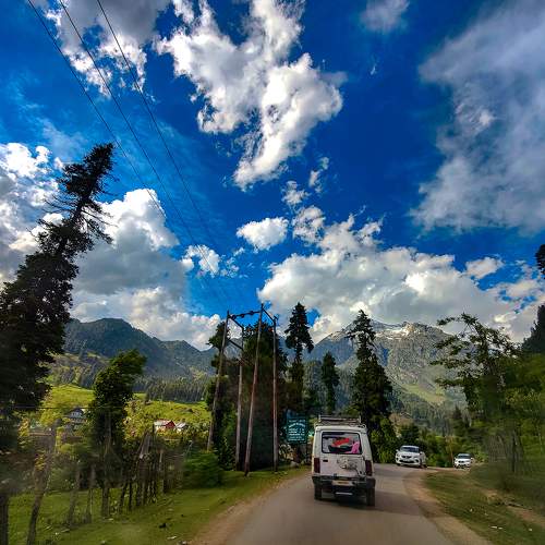 Photo #8034740