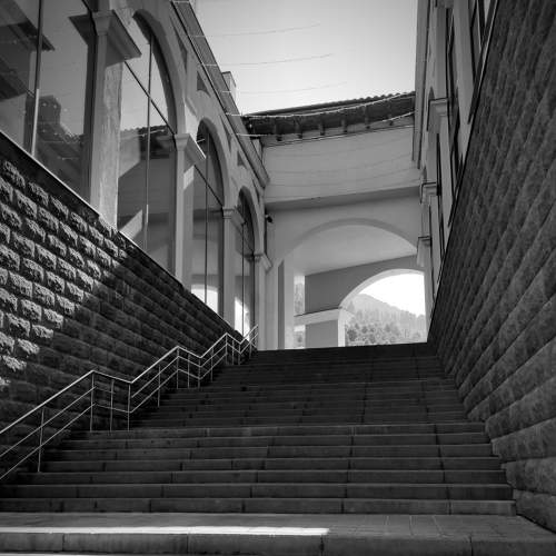 Photo #8035455