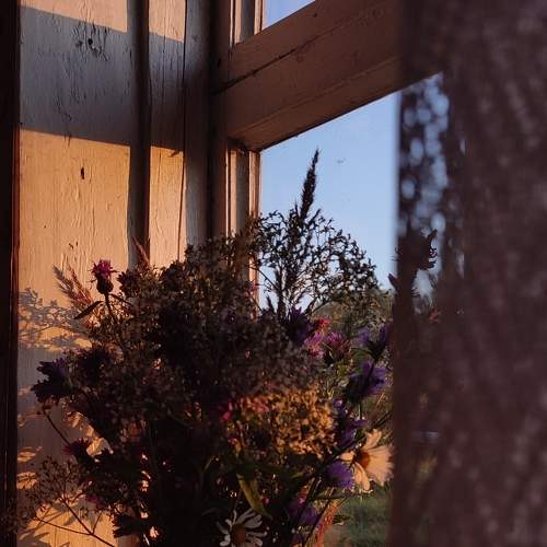 Photo #8035674