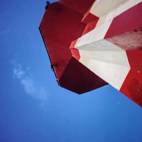 Photo #8035909