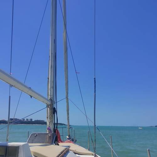 Photo #8035994
