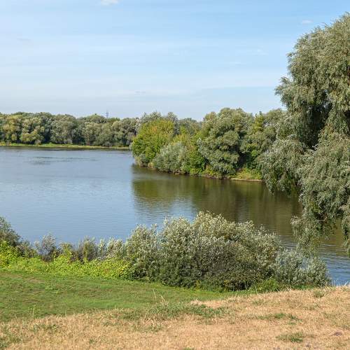 Photo #8036099