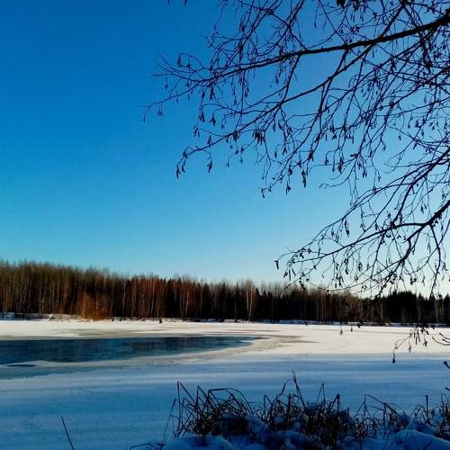 Photo #8036550