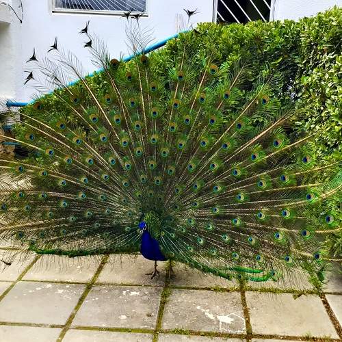 Photo #8036735