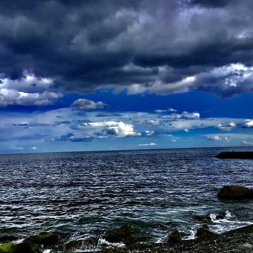 Photo #8036740