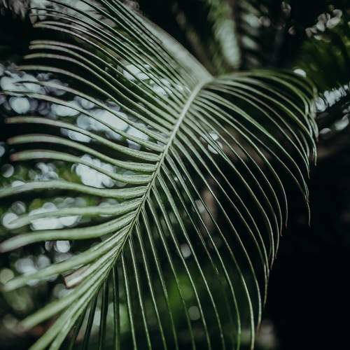 Photo #8036831